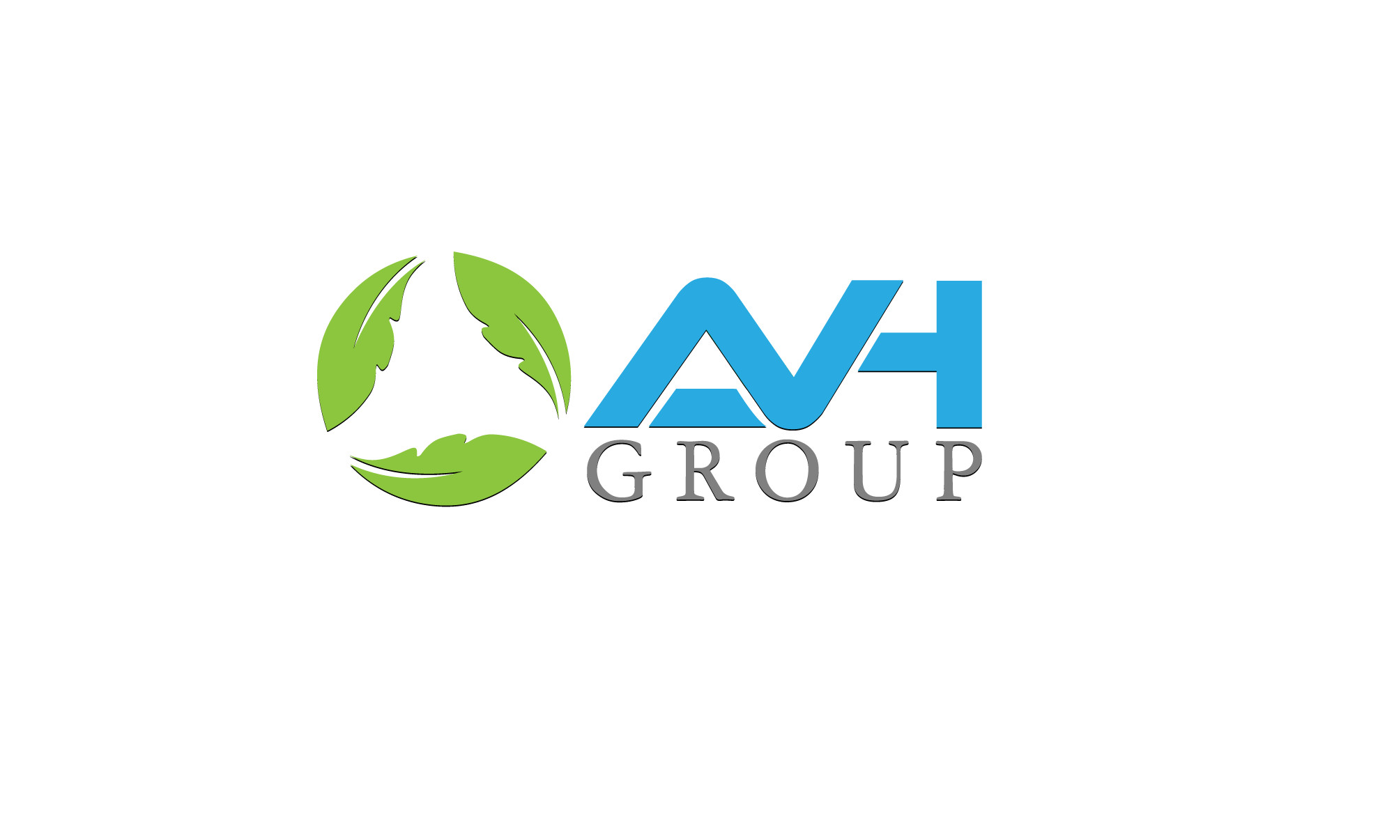 AVH Group